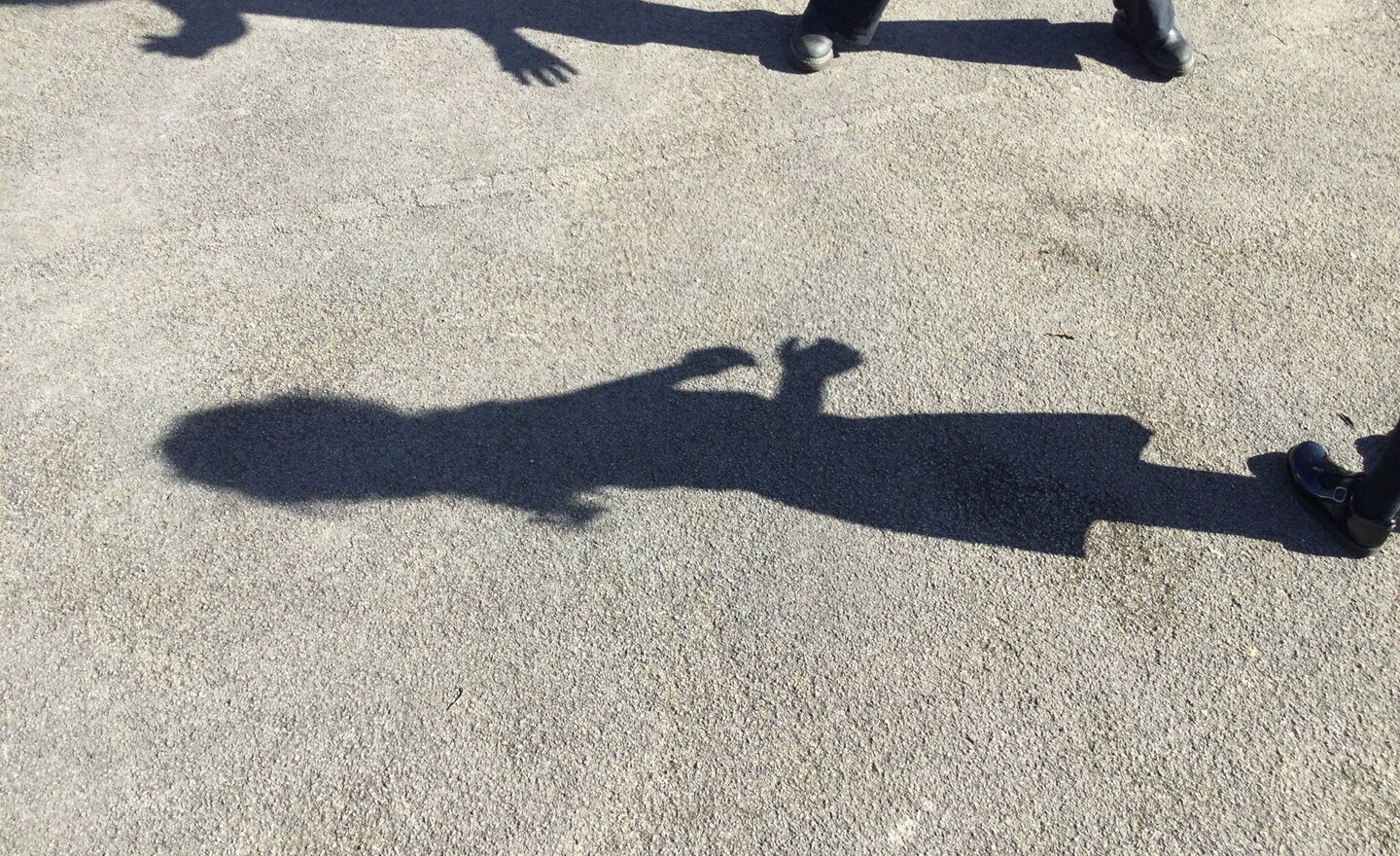 Image of Science - shadows 17.03.26