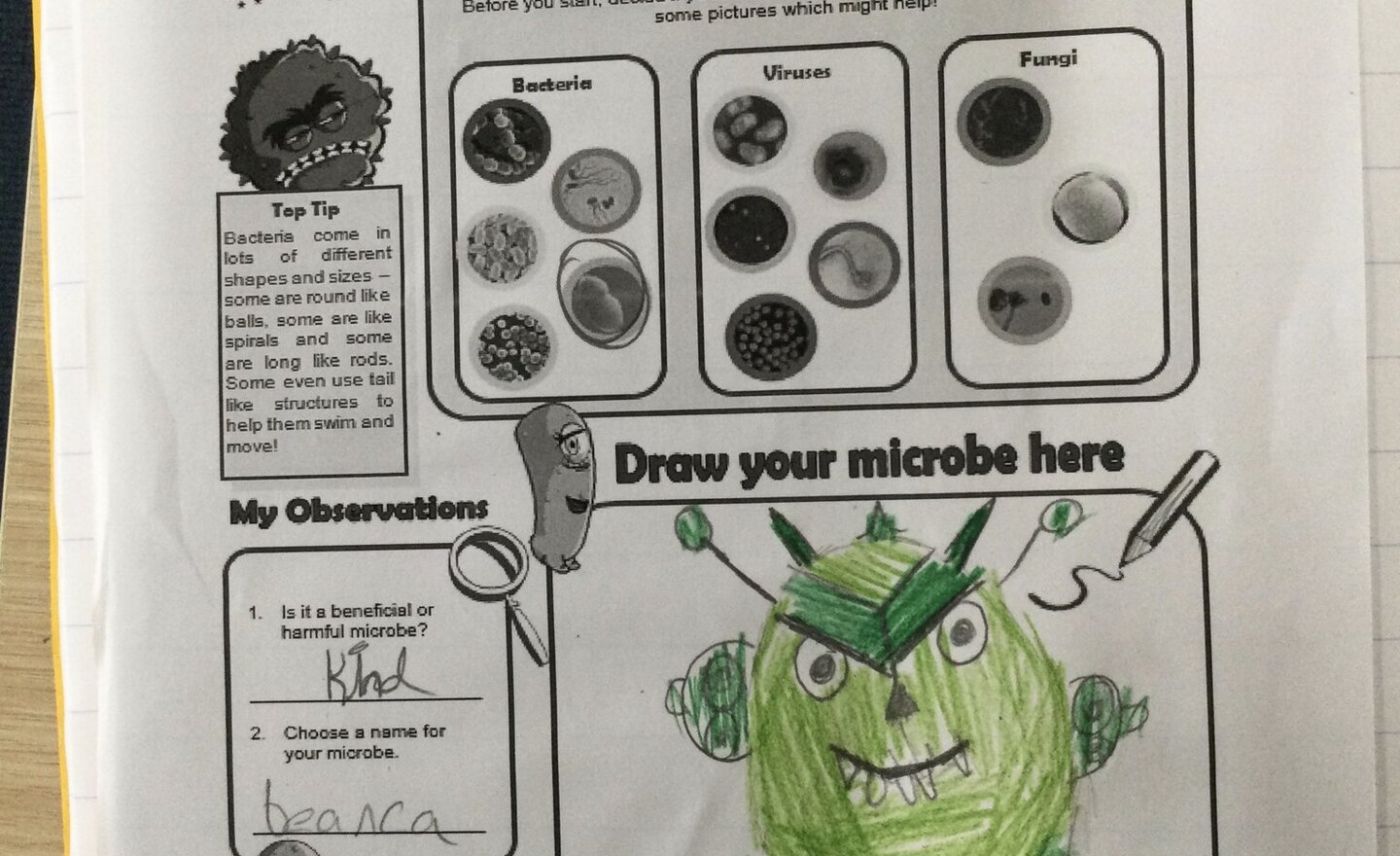 Image of Making microbes!