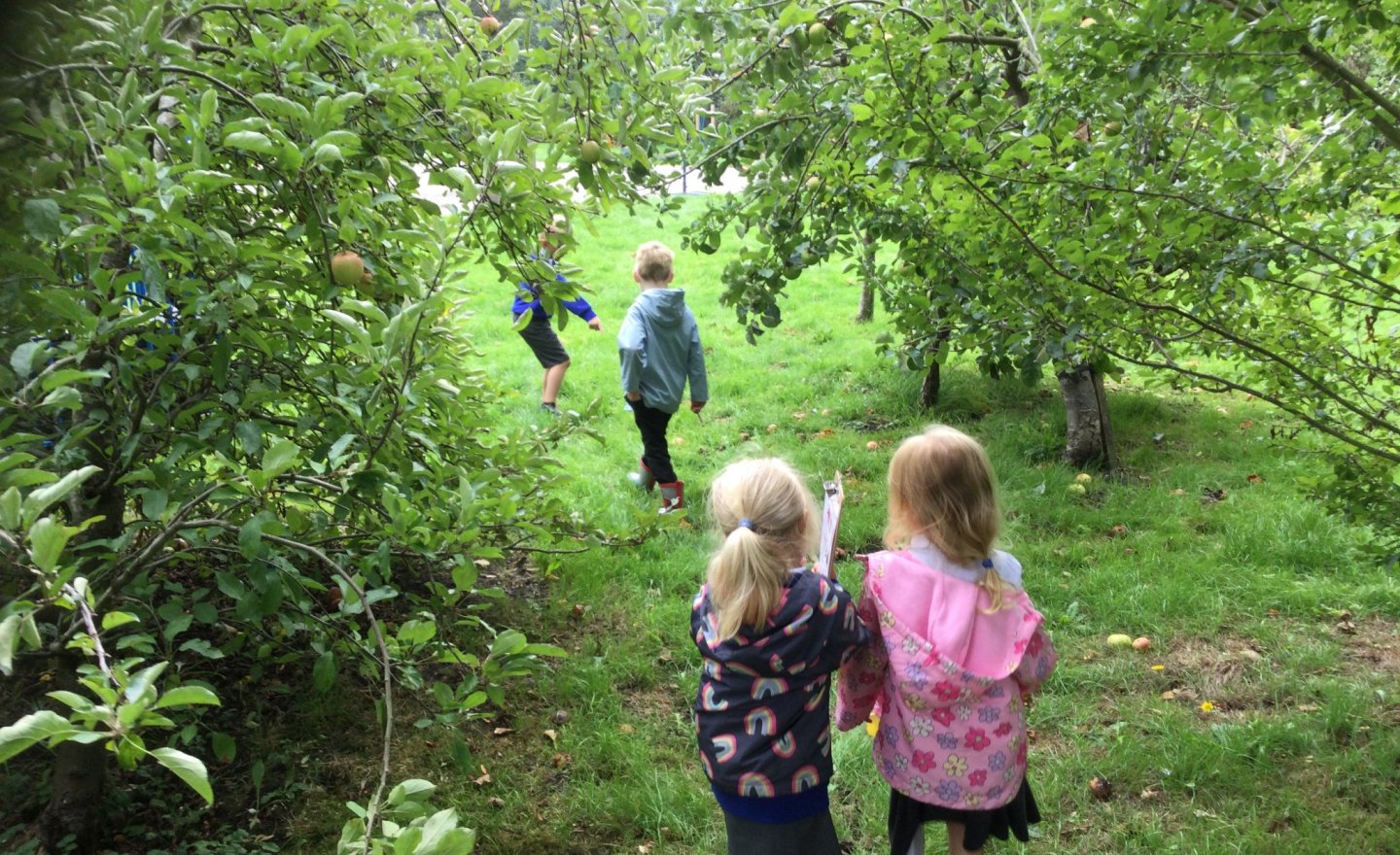 Image of An Autumn Exploration Walk!
