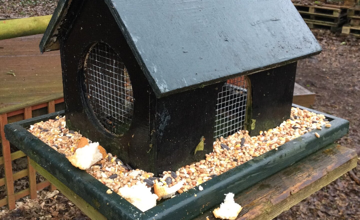 Image of A very rainy Thursday