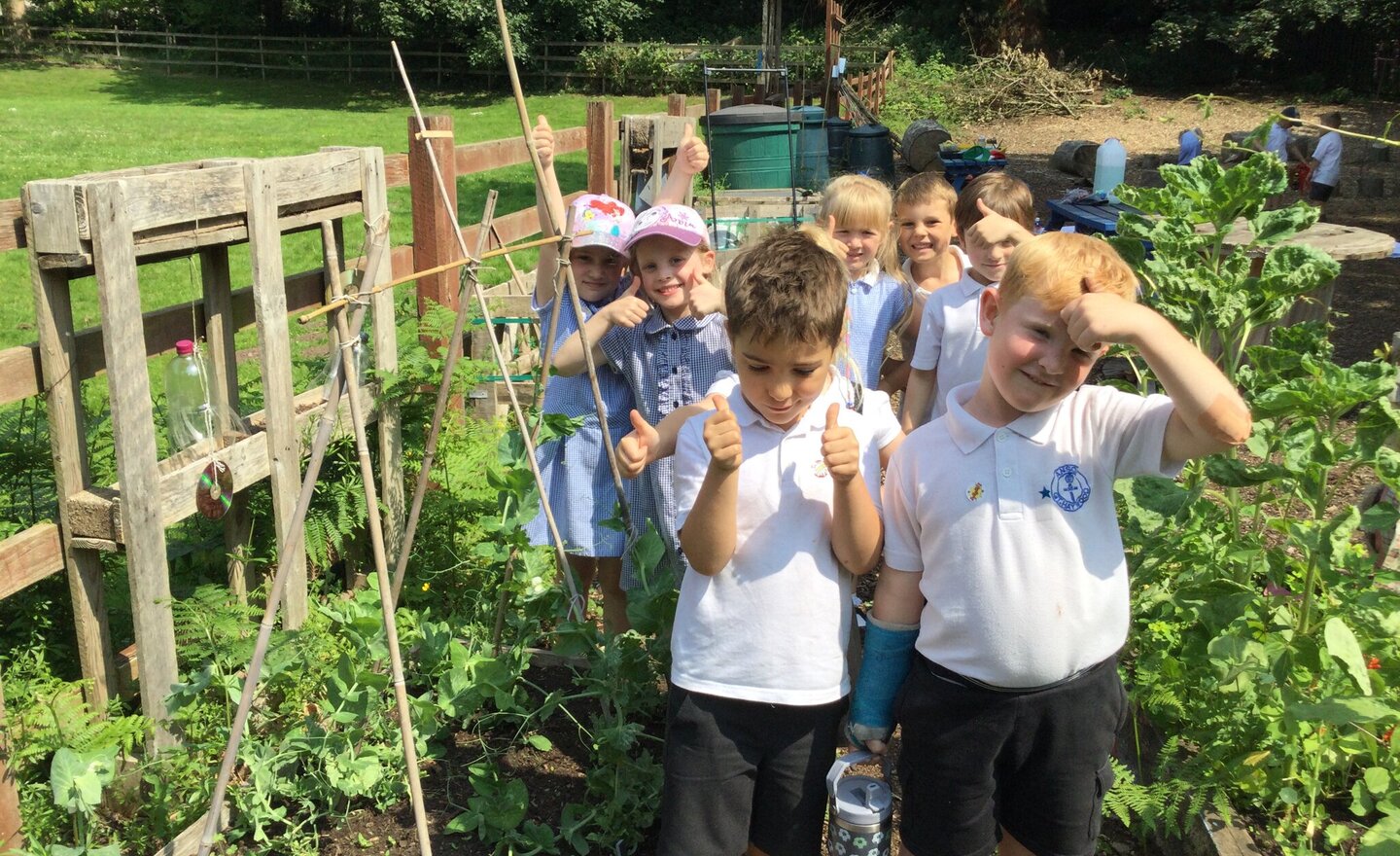 Image of Caring for our vegetable patch