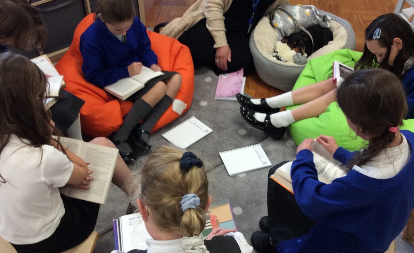 Image of Anson loves reading!