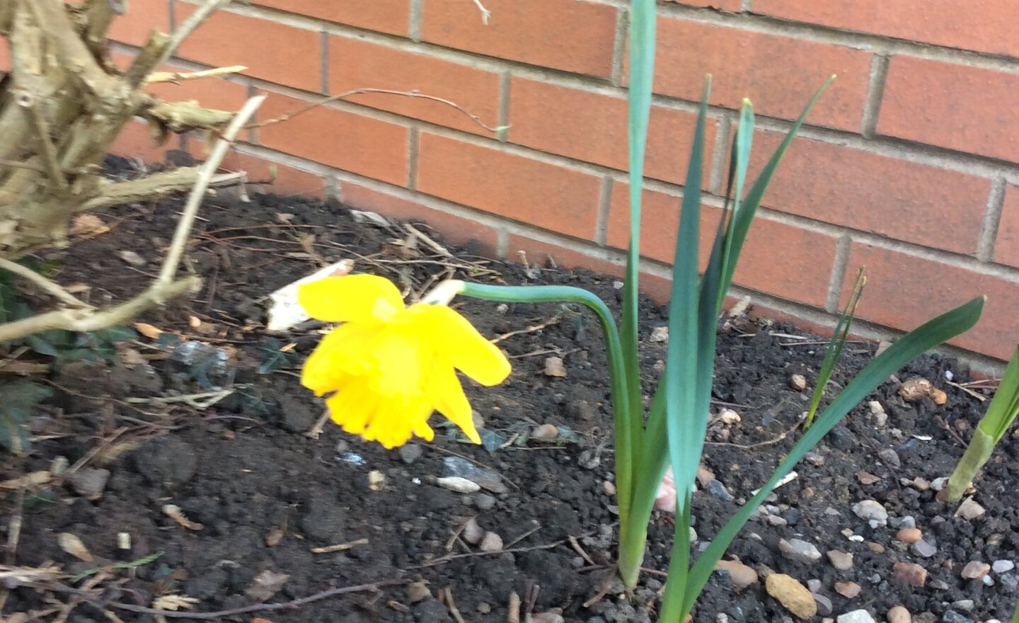 Image of Springing into Spring