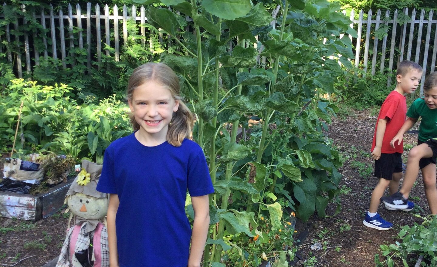 Image of Another glorious morning outside.