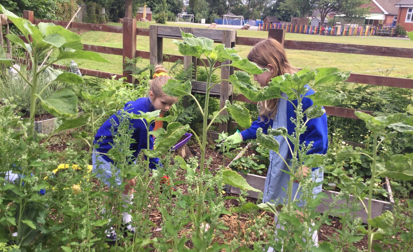 Image of Outdoor classroom on a … Friday!