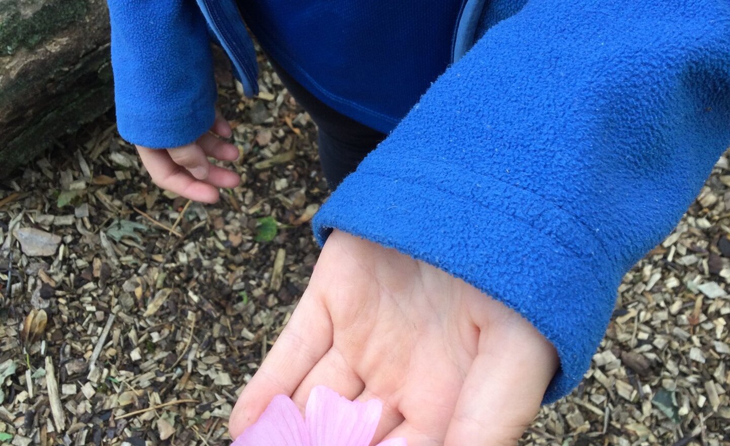 Image of How can we be a steward of God’s world?