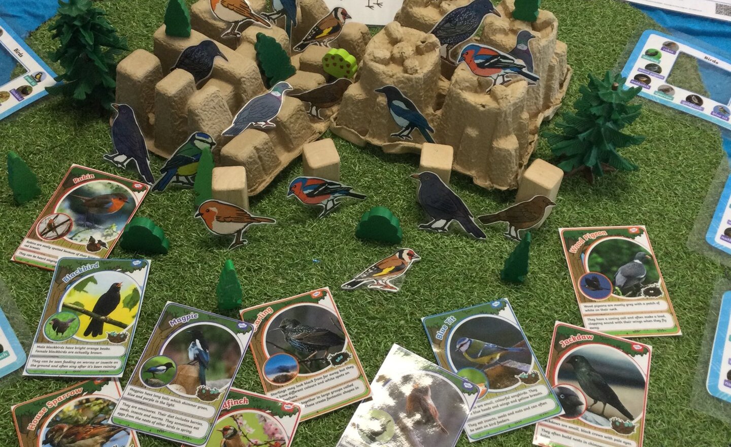 Image of All about birds!