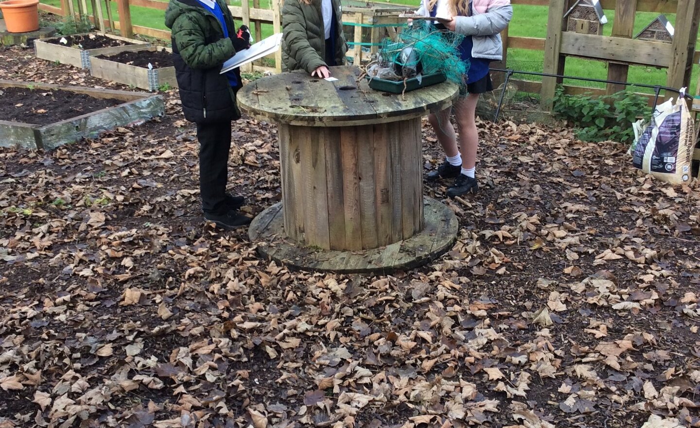 Image of Class 4 - outdoor division