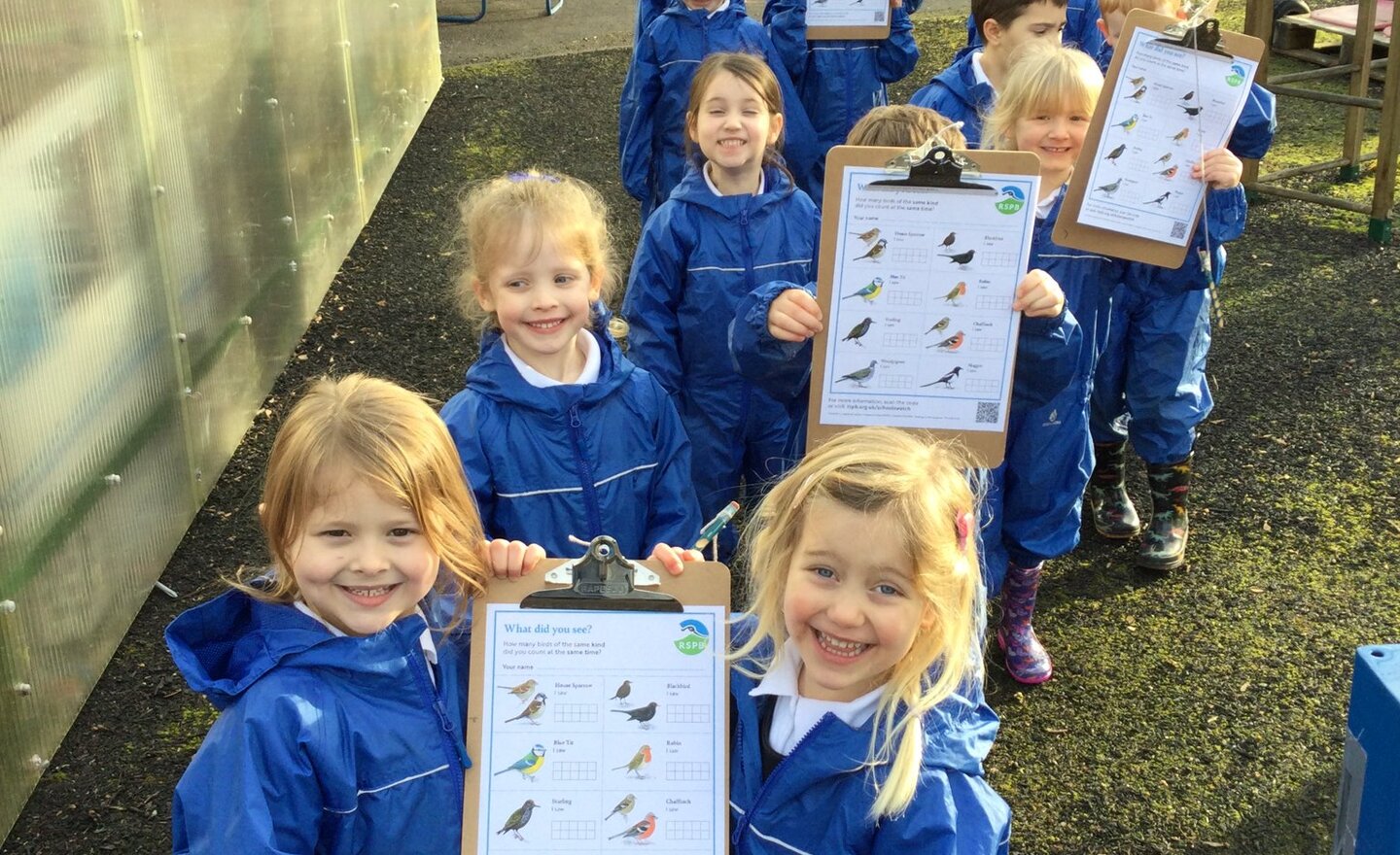 Image of Class 1s Big Garden Bird Watch