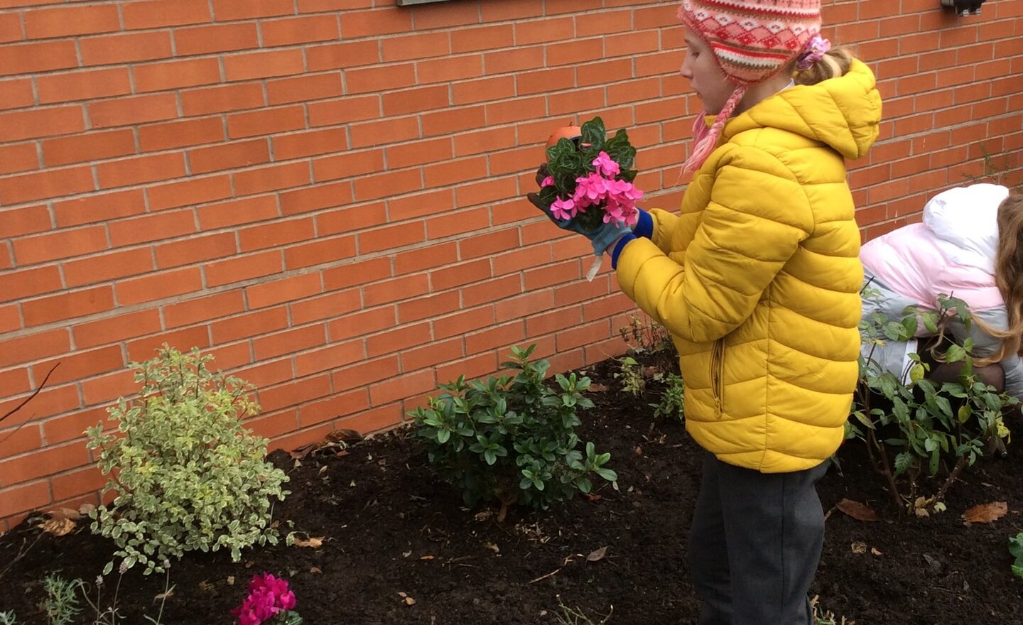 Image of Planting in the Remembrance Garden
