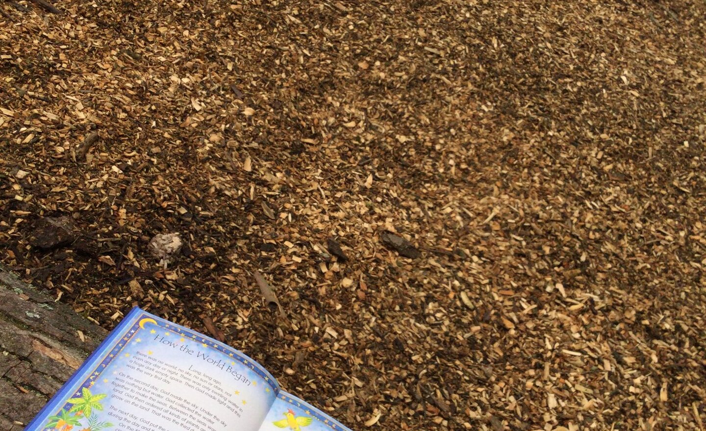 Image of Den building