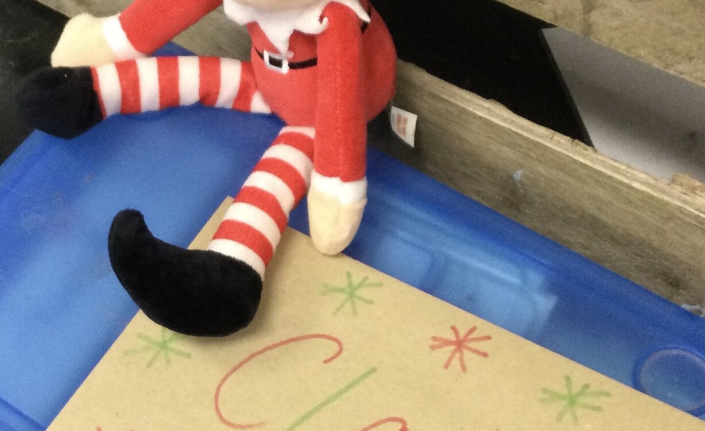 Image of A Special Visitor