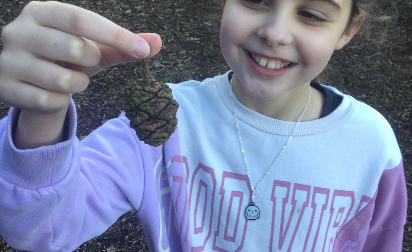 Image of Noticing skills