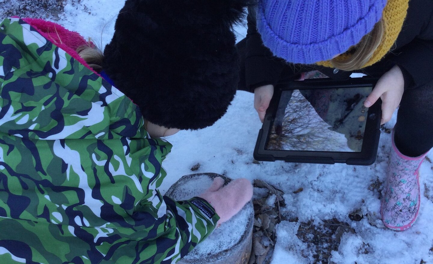 Image of Computing in the snow!