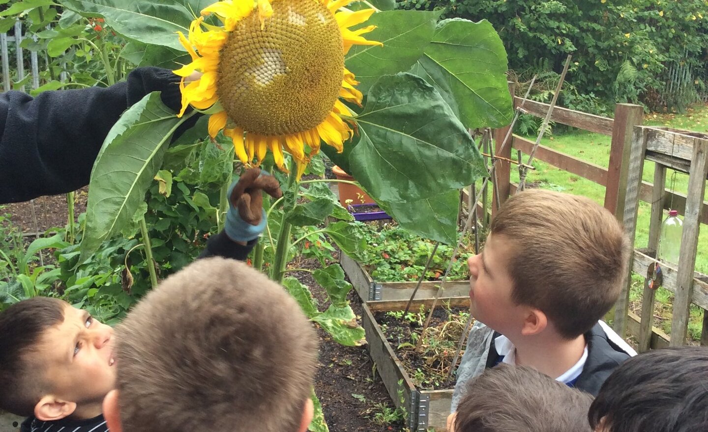 Image of New start for the outdoor area 