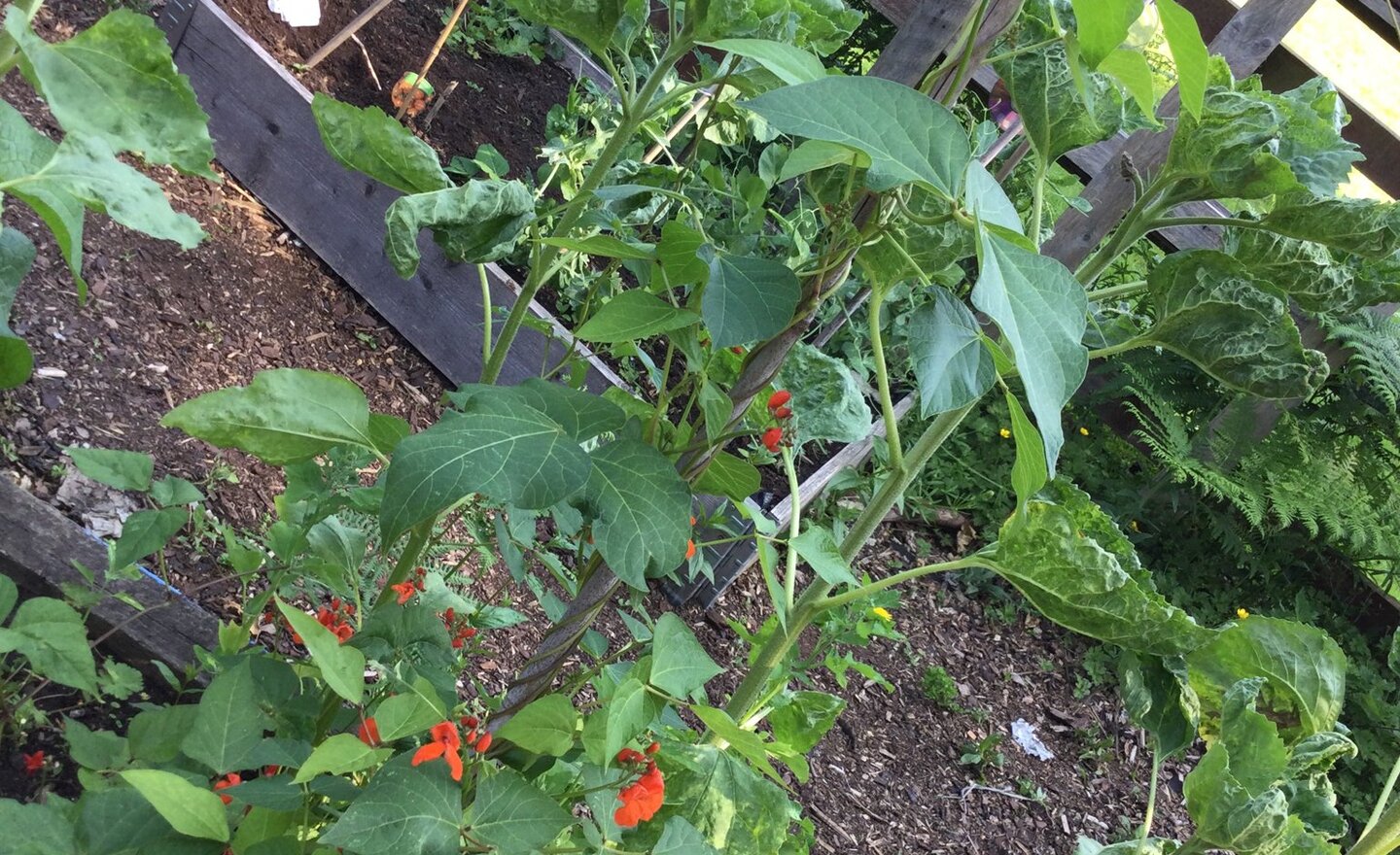 Image of A very sunny Thursday