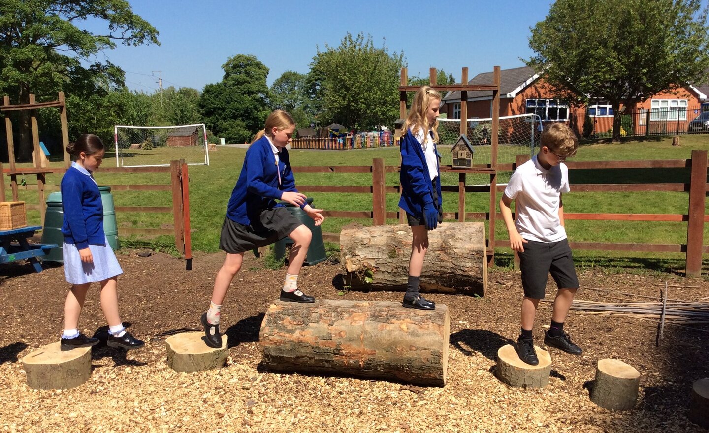 Image of Class 4 - Summer 1 - Fun in the sun