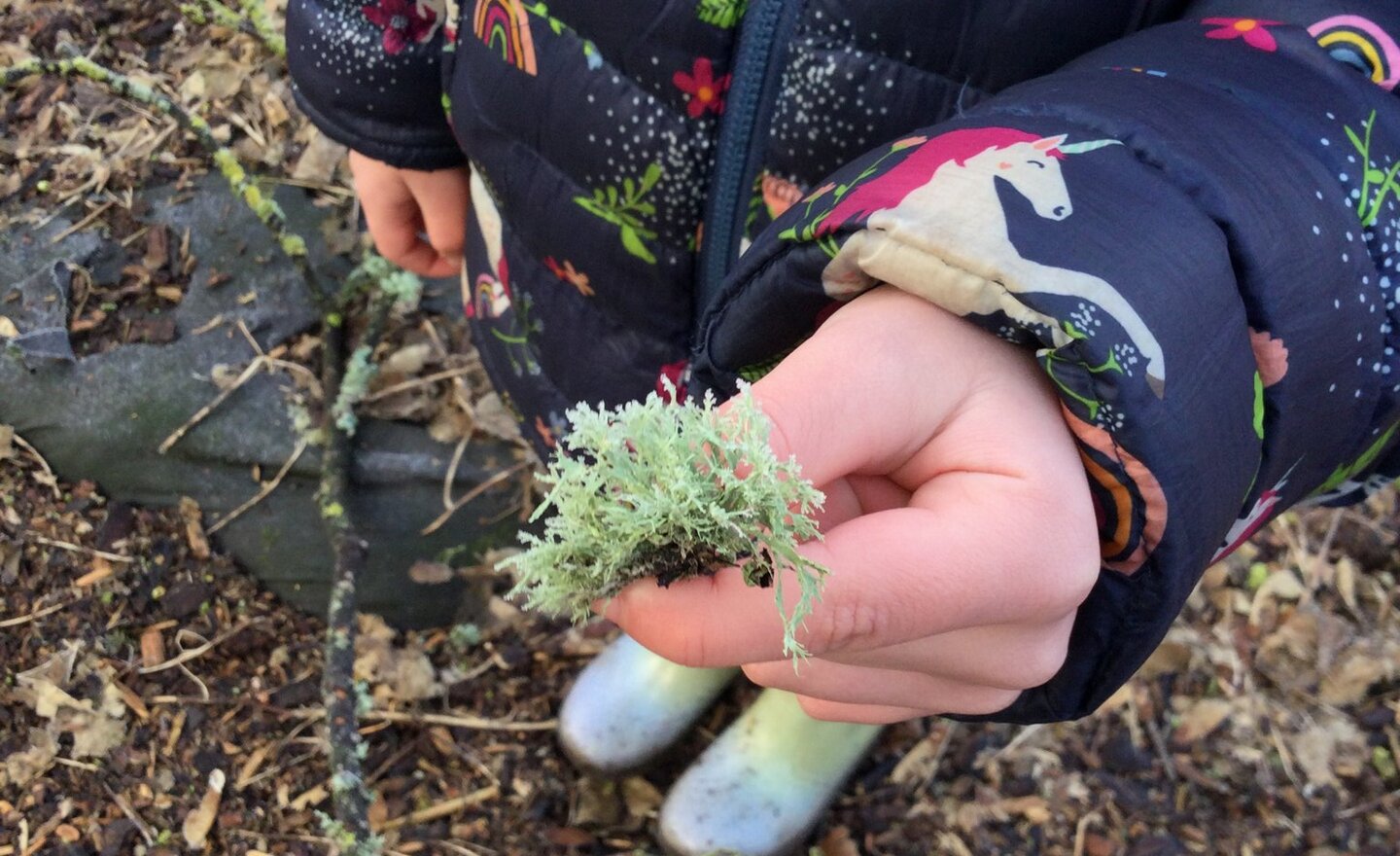 Image of Thursdays are for outdoor learning!