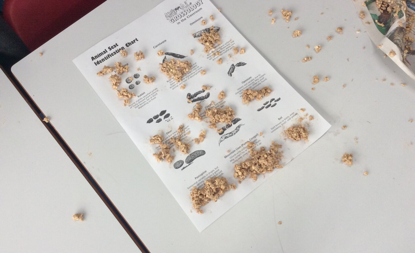 Image of Animal Scat Creation and Identification