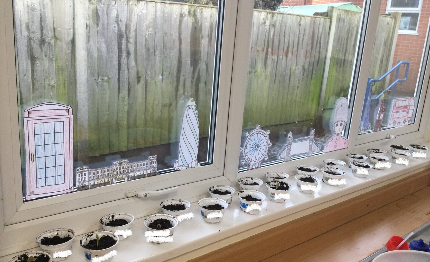 Image of Our bean journey continues…