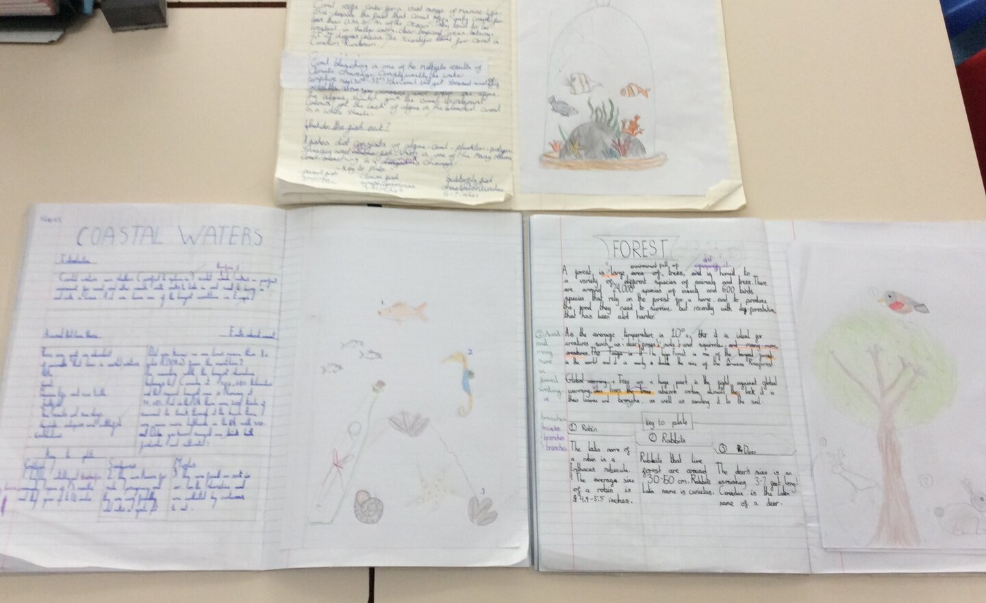 Image of Animalium 2026