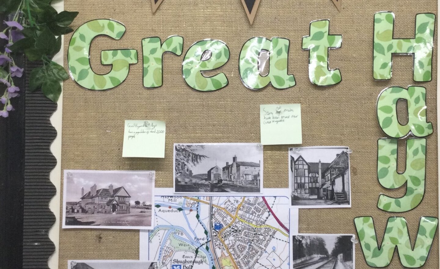 Image of Human and physical features of our village 