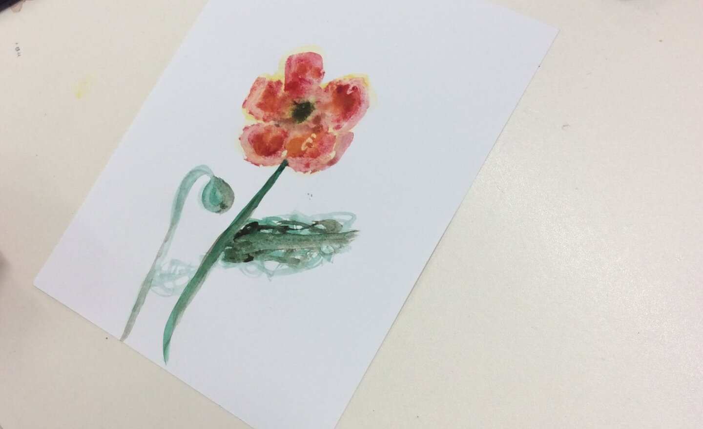 Image of Watercolour poppy painting 