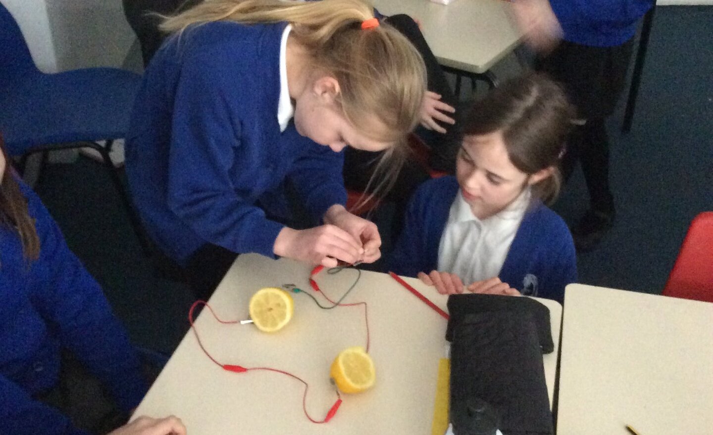 Image of Class 4 Lemon Power 2026