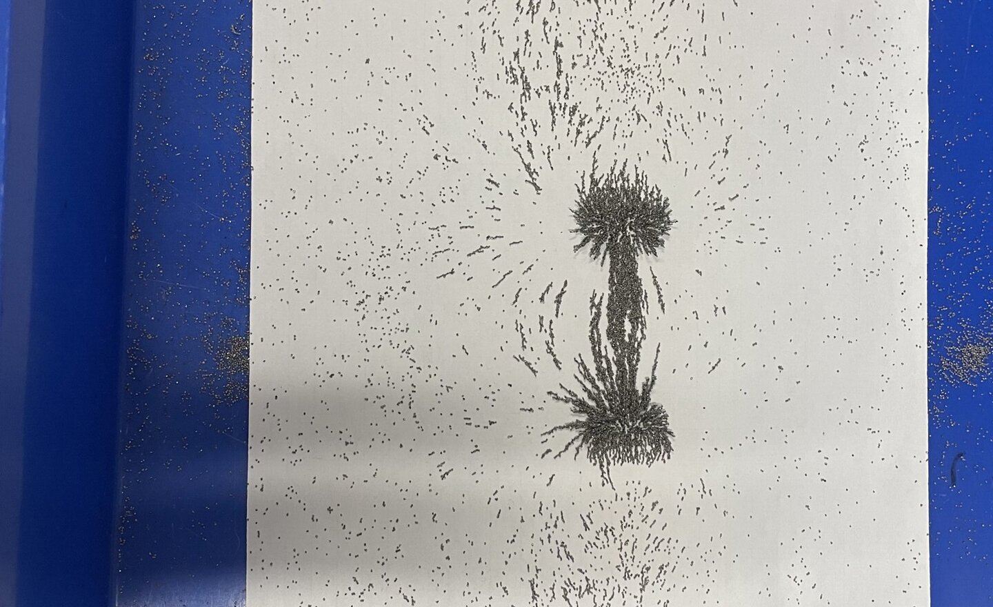 Image of Magnetic Fields 