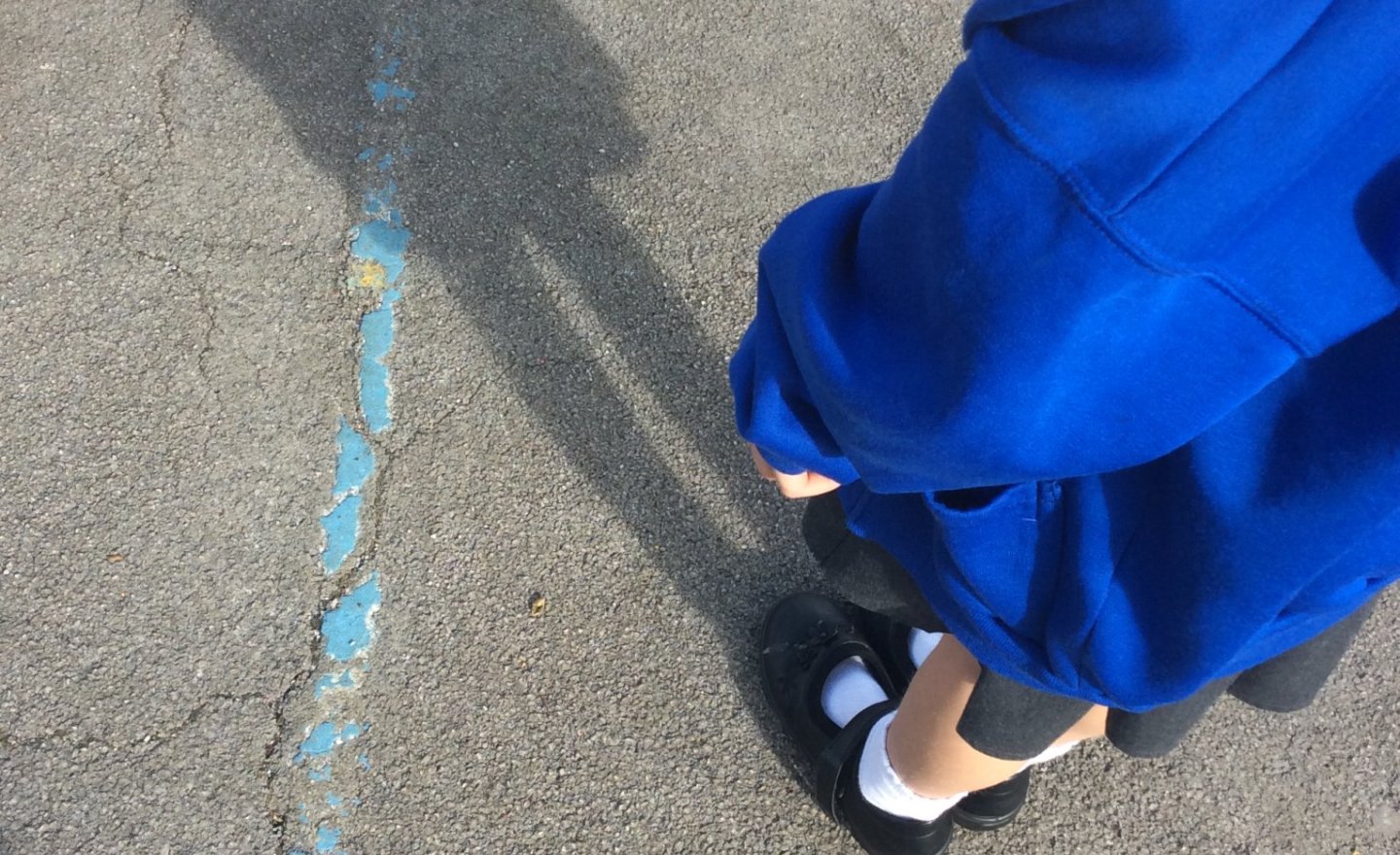 Image of Shadow Investigating 