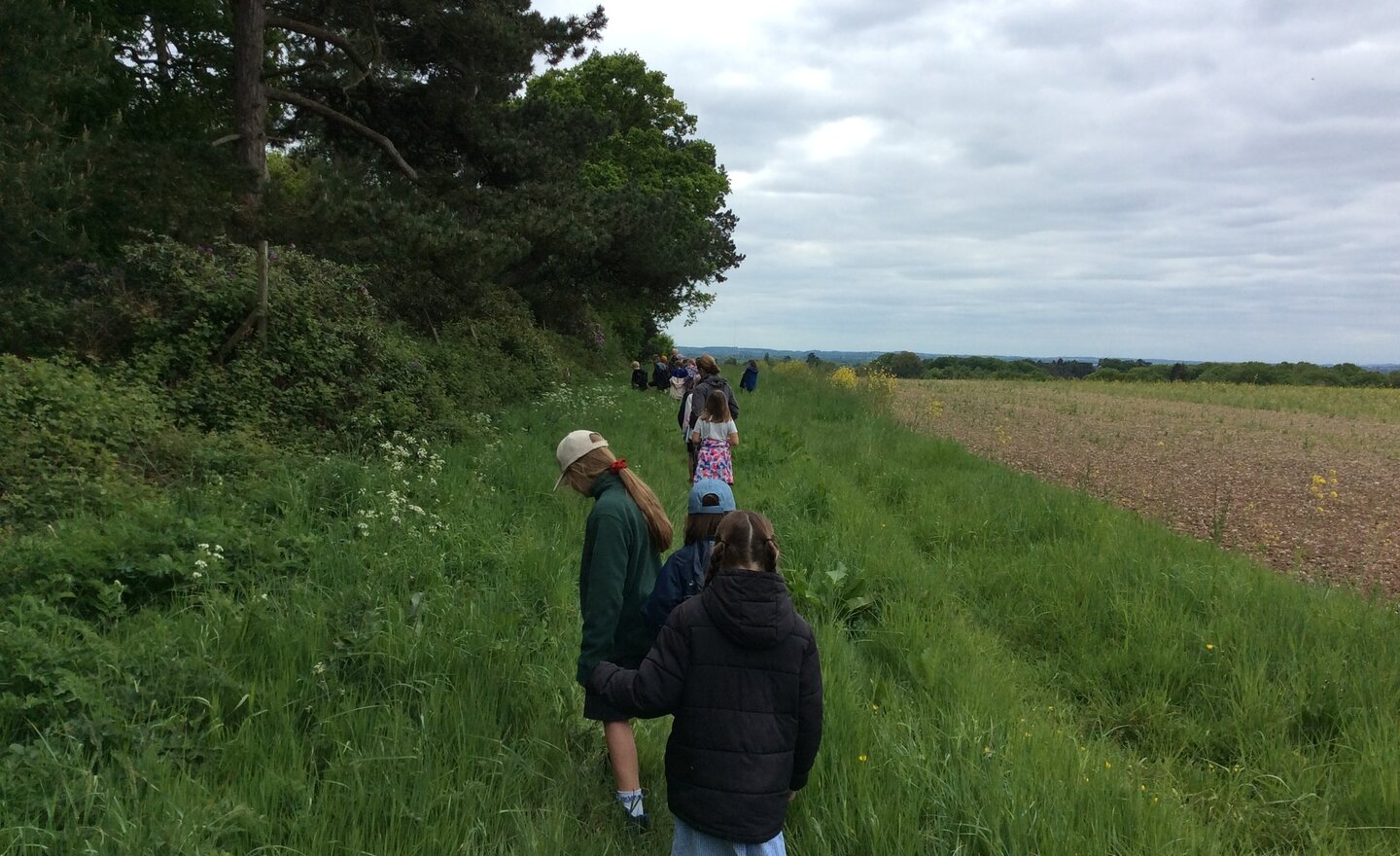 Image of Class 4 Packington Farm Trip 2025
