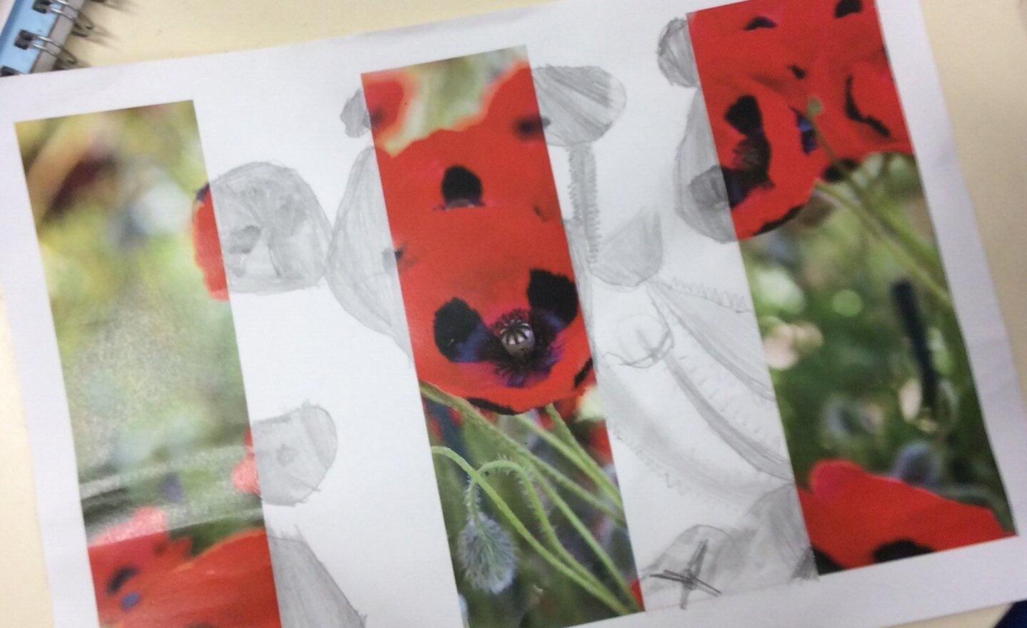 Image of Remembrance Art