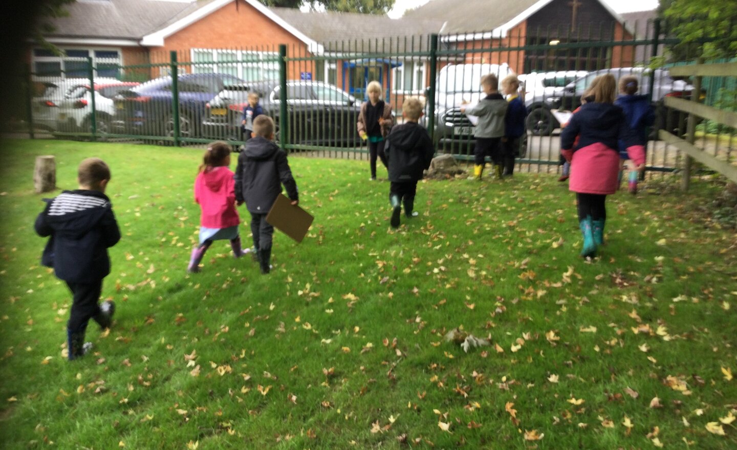 Image of Autumn walk