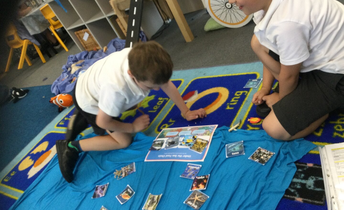 Image of Exploring food chains!