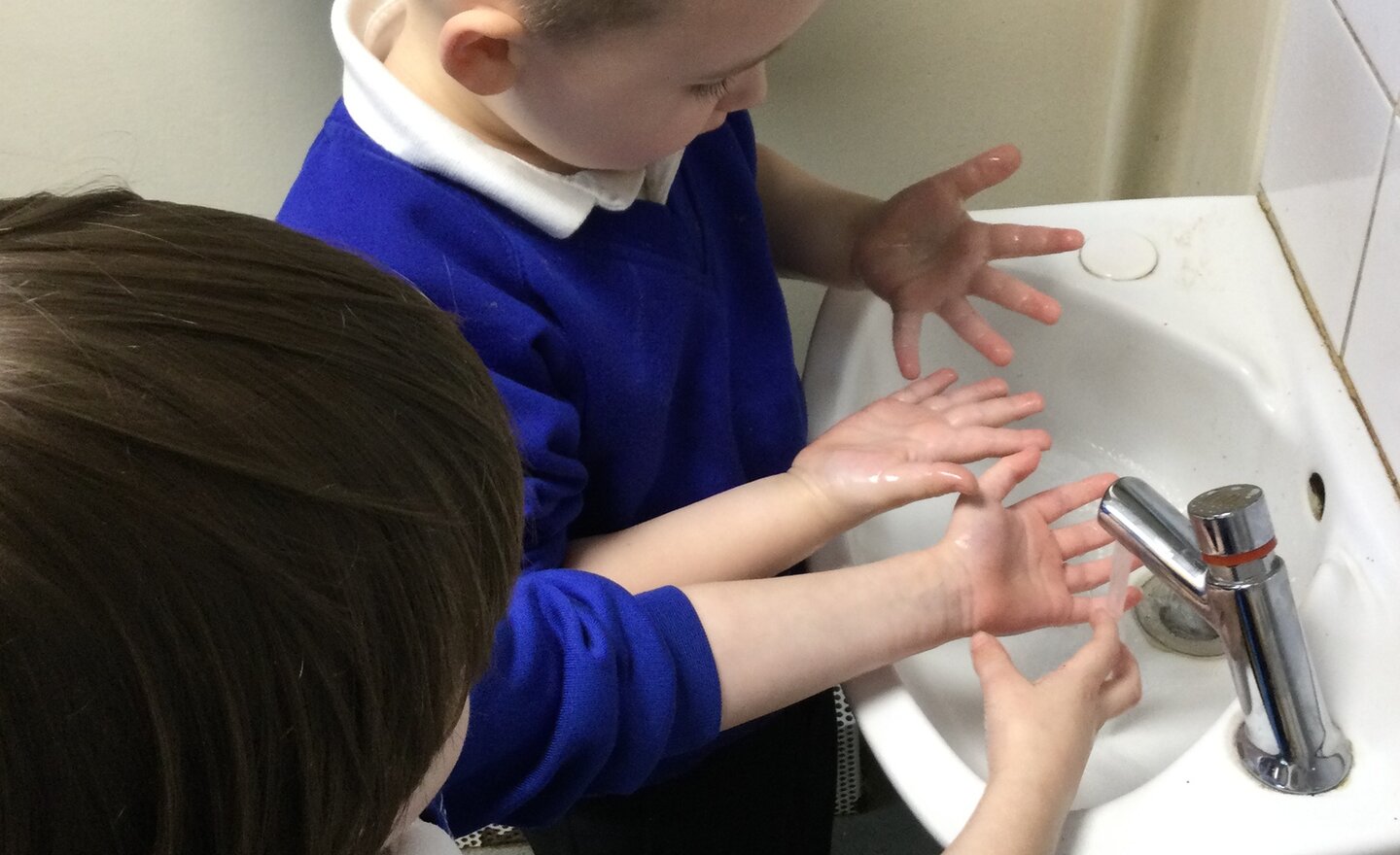 Image of Germs experiment!