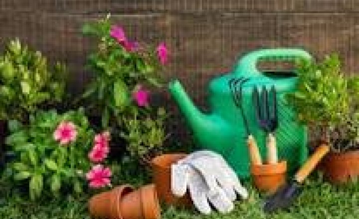 Image of Gardening Afternoon