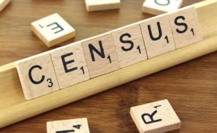 Image of Spring School Census