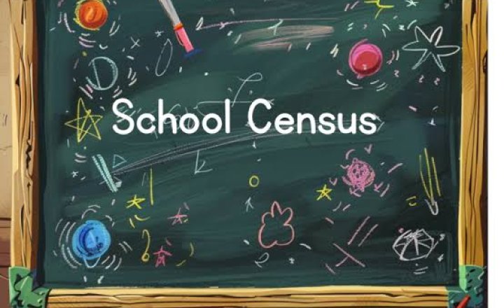 Image of Summer School Census