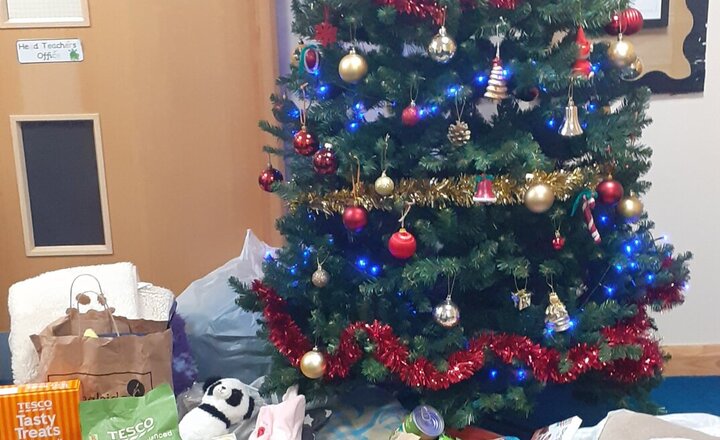 Image of Thank you, Saffy is a little overwhelmed by your generosity to Birmingham Dogs Home! 