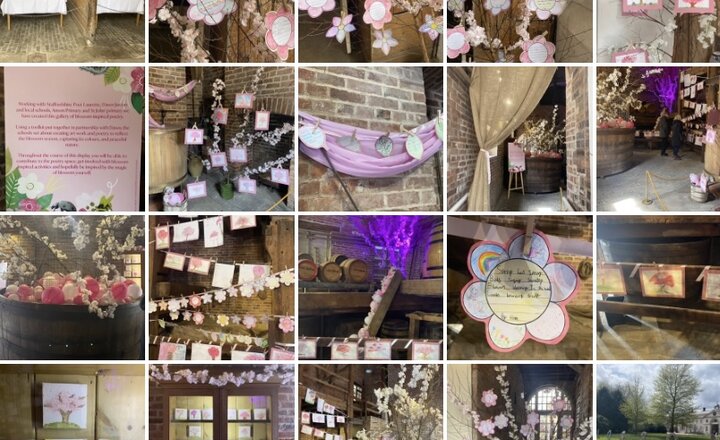 Image of Blossom Project at Shugborough Hall