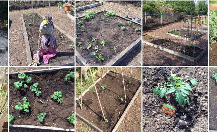 Image of Planting time!