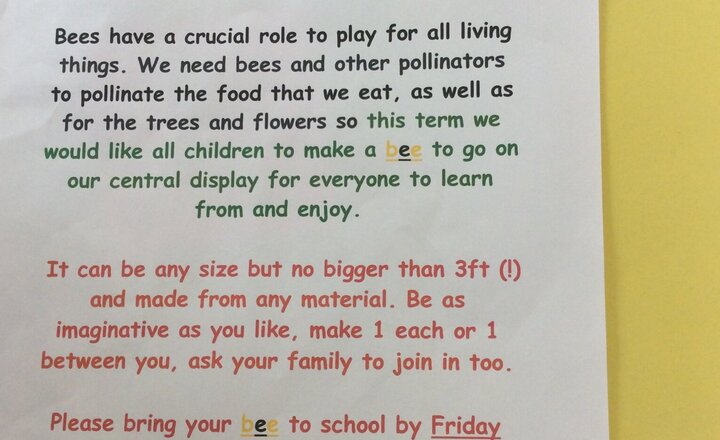 Image of Big Bee Display 