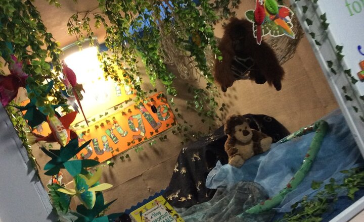 Image of Anson Jungle