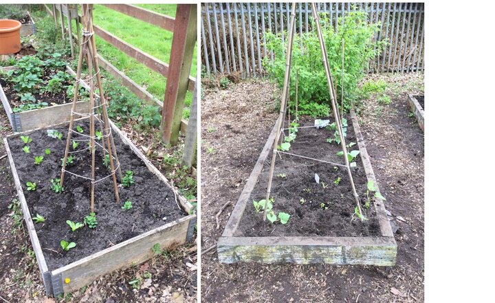 Image of Gardening Afternoon!
