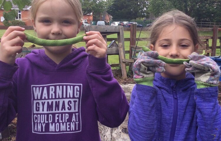 Image of Class 4 - the start of tidying up the outdoor classroom