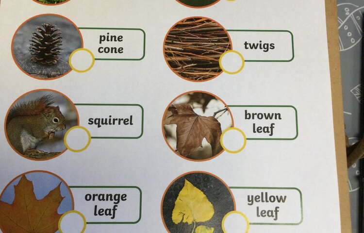 Image of Autumn Walk Hunt