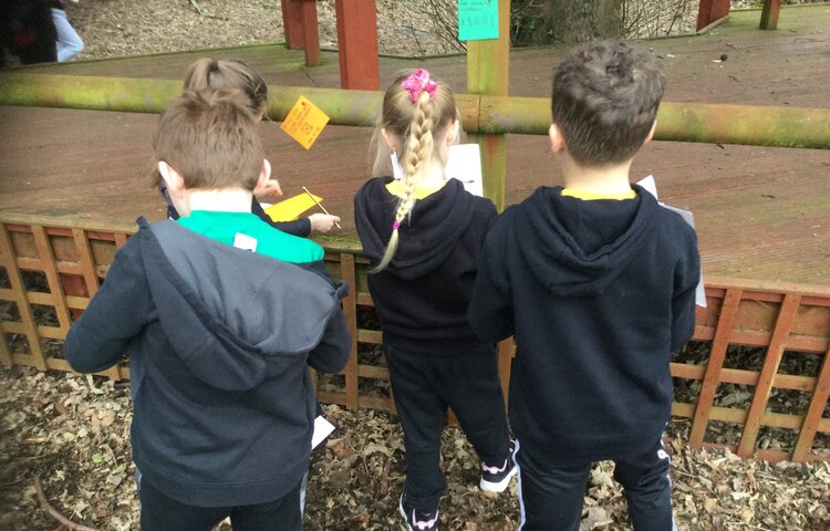 Image of Fractions outdoors 