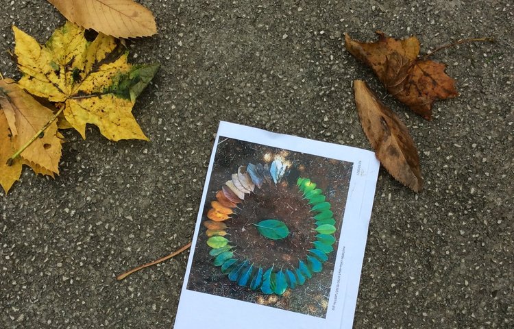 Image of Our Circle of Autumn Leaves