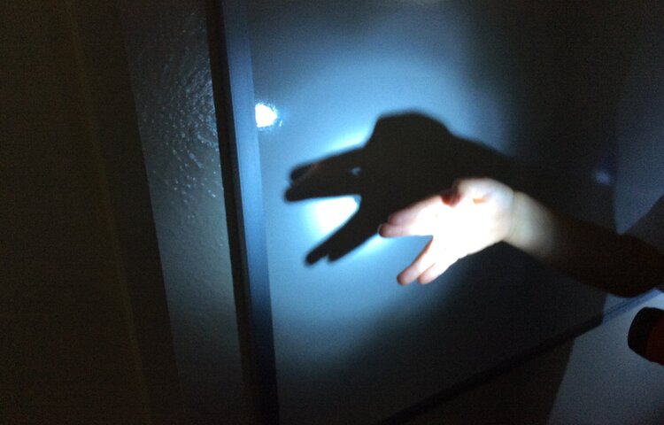 Image of Investigating Light