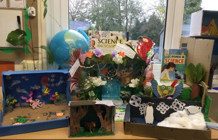 Image of Class 2’s incredible biomes!